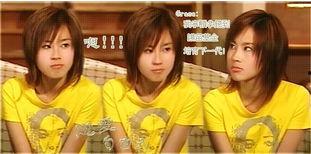 恋爱自由式演员表,明星阵容闪耀,青春爱情故事即将上演