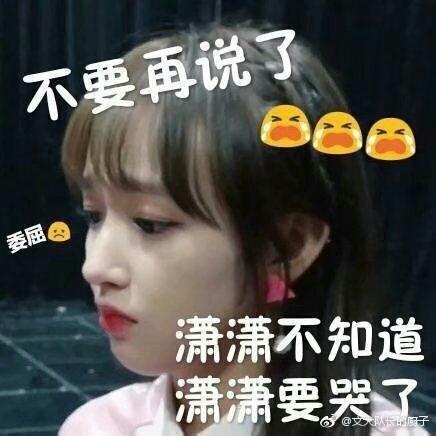 程潇表情包,解锁笑点满满的欢乐时刻