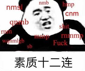 第三帝国表情包,揭秘纳粹德国的另类文化现象