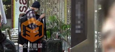 娱乐八卦王一菲,娱乐圈新晋女神的崛起之路